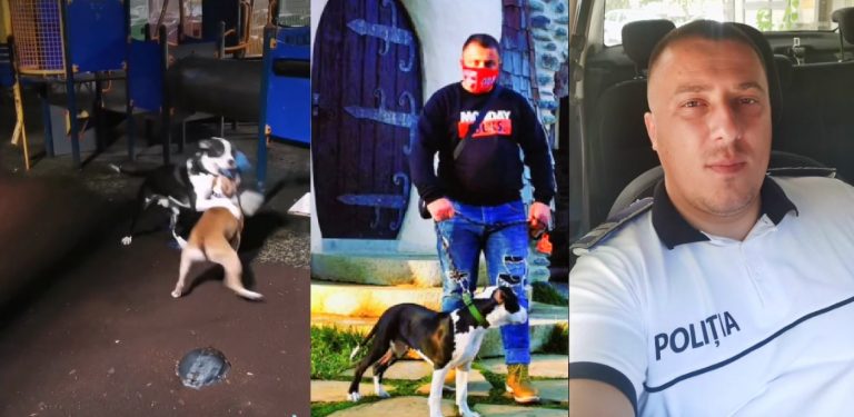 Un agent de la Poliția Capitalei și-a filmat câinele de luptă fără botniță, la locul de joacă pentru copii
