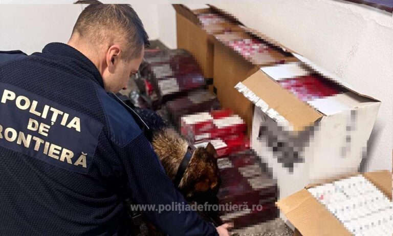 VIDEO | 2.700 pachete de țigări de contrabandă, ascunse la bordul unei nave, în Portul Constanța